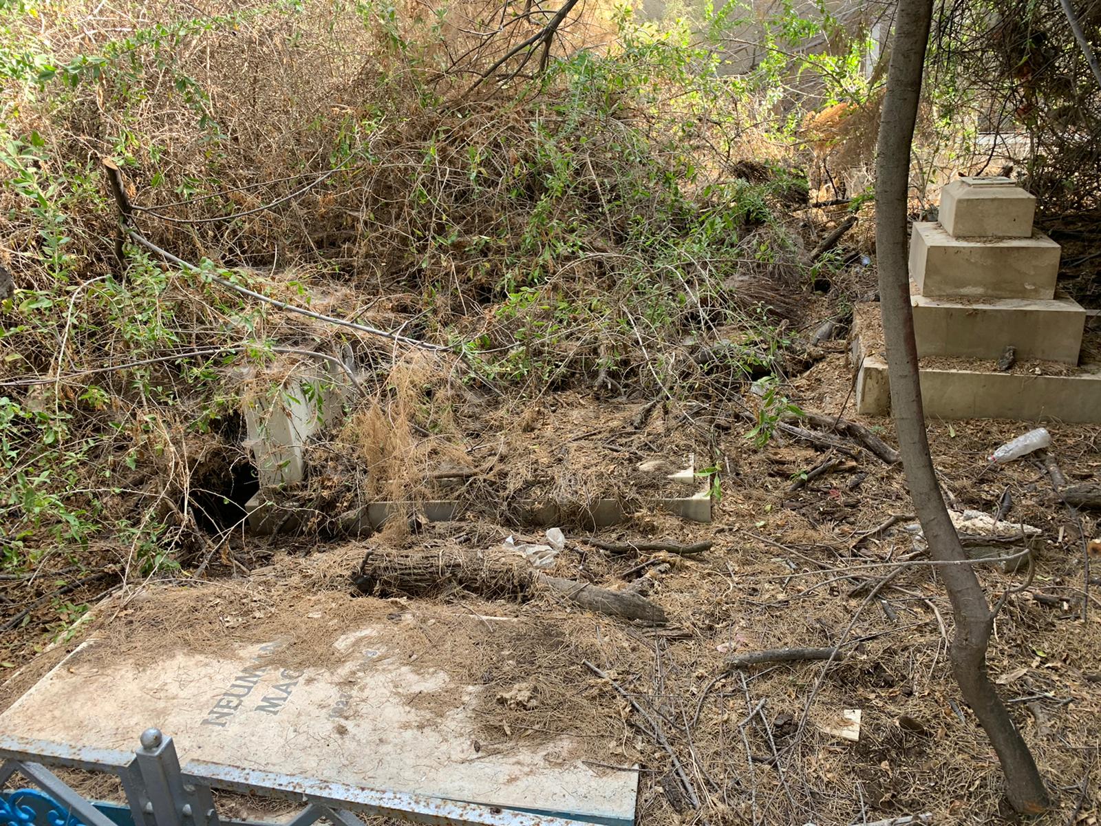 WhatsApp Image 2021-05-31 at 10.49.01 AM.jpeg